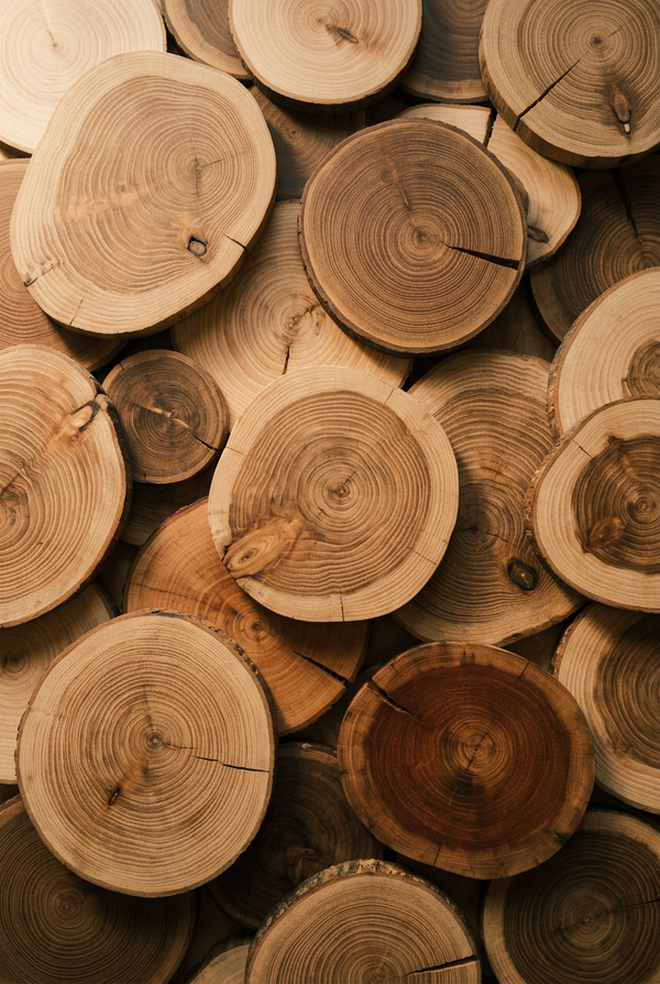 Moodbild – Wood Collection Cover — Duftstimmung
